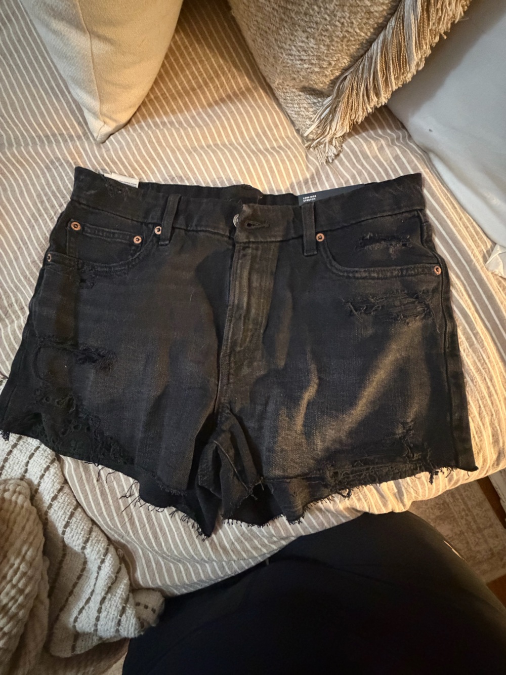 American Eagle Outfitters Black Distressed Denim Jean Shorts